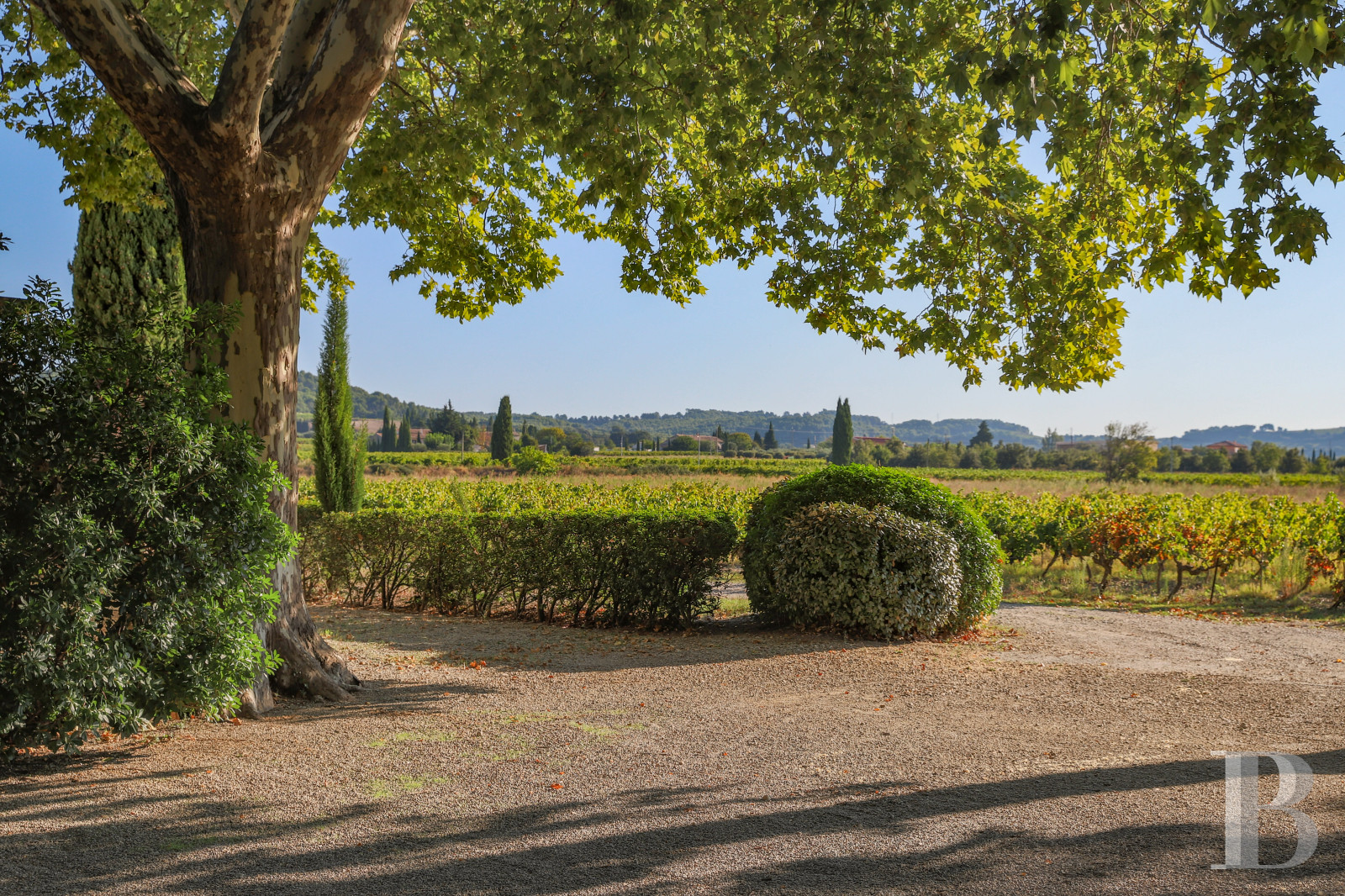 Dans le Vaucluse, au sud-est de Cairanne, une maison dédiée à la villégiature au cœur d’un domaine viticole  - photo  n°33